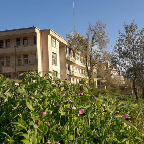 School of Nursing - Moghan