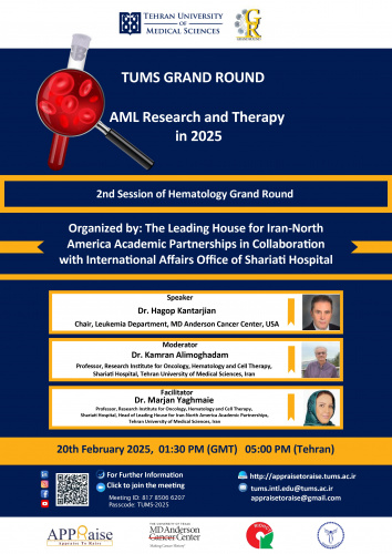 Hematology Grand Round: AML Research and Therapy in 2025