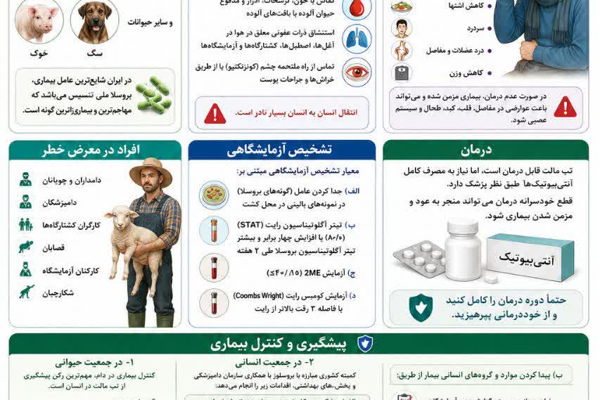  تب مالت (بروسلوز) بیمارى مشترک بین انسان و حیوان 