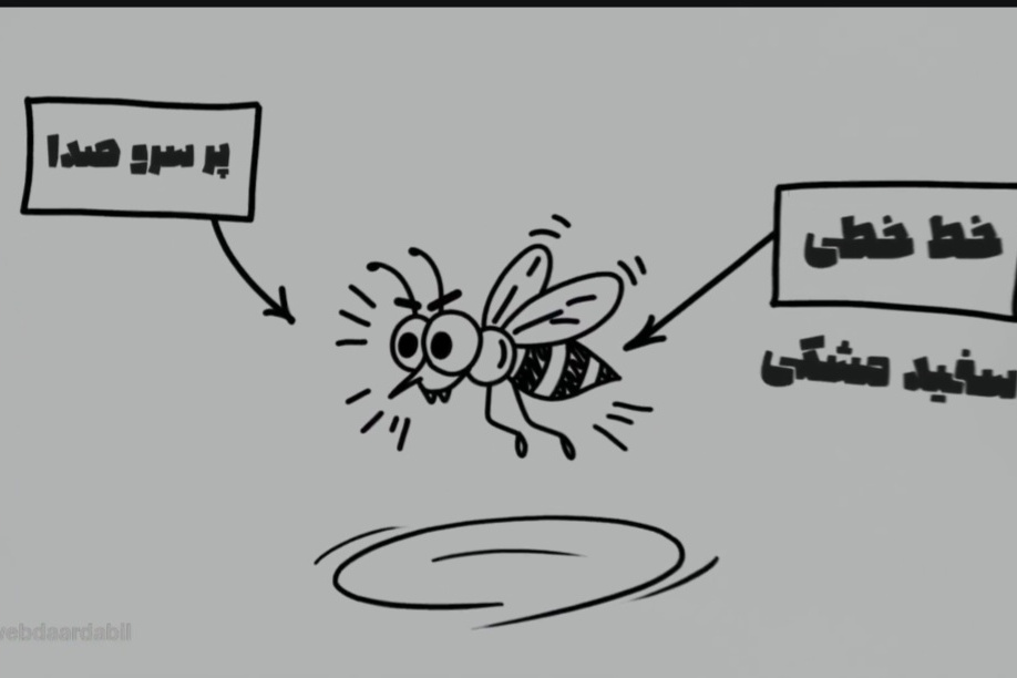 موشن_گرافیک آموزشی | آنچه باید درباره پشه آئدس و راه‌های پیشگیری از گزش و تکثیر آن بدانیم.