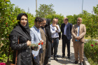 کاشت نهال در محوطه معاونت تحقیقات و فناوری دانشگاه بمناسبت روز جهانی محیط زیست