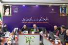 جلسه مسئولین دانشگاه علوم پزشکی اردبیل با نائب رئیس مجلس شورای اسلامی