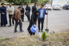 ایستگاه ششم: کاشت ۱۲ اصله نهال به یاد شهدای سلامت و رسانه جنگ تحمیلی ۱۲ روزه