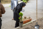 ایستگاه ششم: کاشت ۱۲ اصله نهال به یاد شهدای سلامت و رسانه جنگ تحمیلی ۱۲ روزه