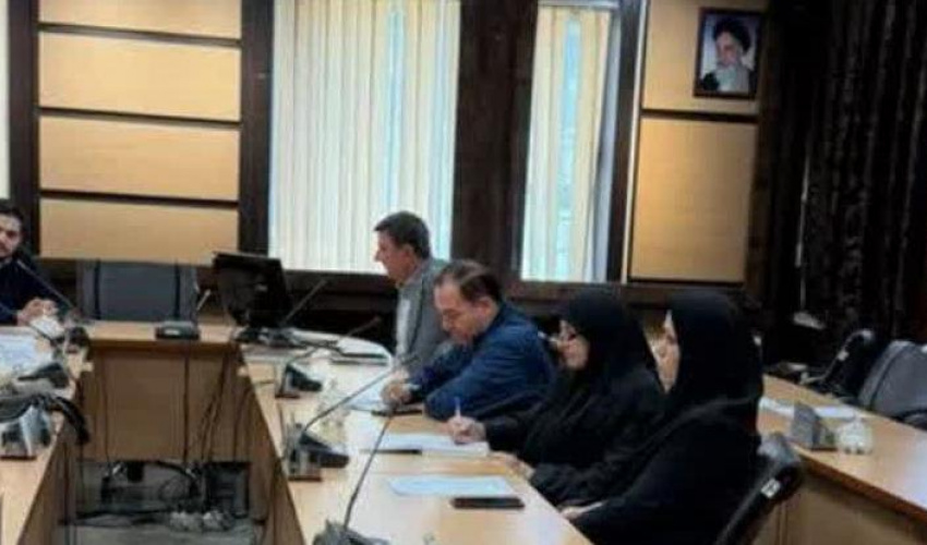 جلسه کارگروه واگذاری خدمات سلامت دانشگاه علوم پزشکی اردبیل برگزار شد