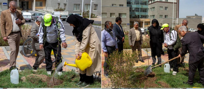 کاشت نهال در محوطه ستاد مرکزی دانشگاه با حضور معاون آموزشی دانشگاه