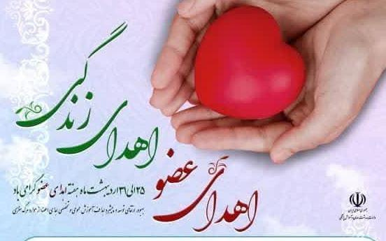 مرگ مغزی چیست؟