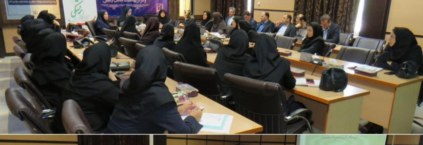 بررسی مشکلات اجرایی برنامه نفس در معاونت بهداشت دانشگاه