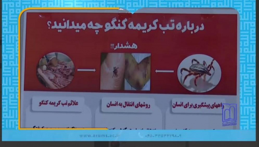 شناسایی ۲ بیمار مبتلا به تب کریمه کنگو در استان اردبیل