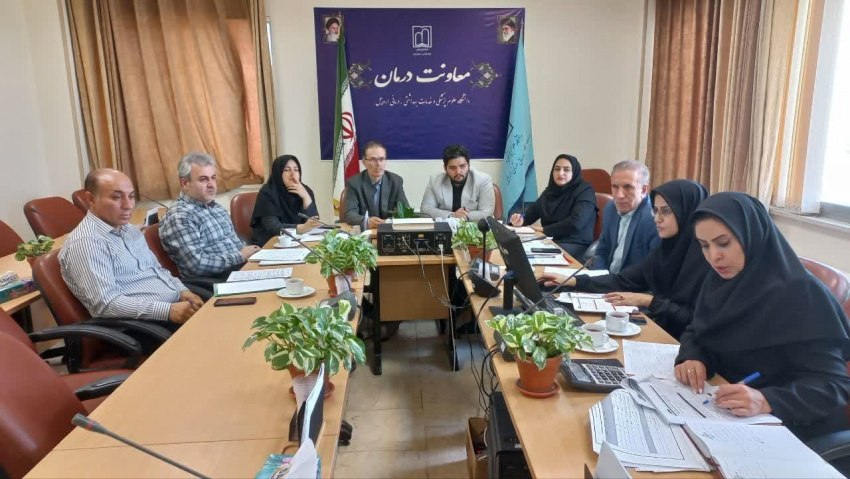 بررسی مشکلات، کمبودها و مسائل مربوط به ساختار تشکیلات بیمارستان فاطمی
