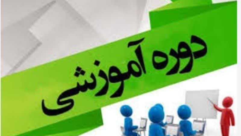 دوره آموزشی با عنوان برنامه شیوه زندگی سالم در دوره سالمندی در زمینه فعالیت فیزیکی بصورت مجازی برای کارکنان دانشگاه