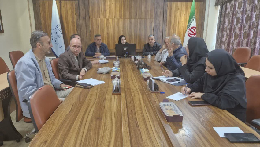 جلسه هماهنگی اجرای برنامه سلامت گوش و شنوایی نوزادان در معاونت بهداشتی دانشگاه