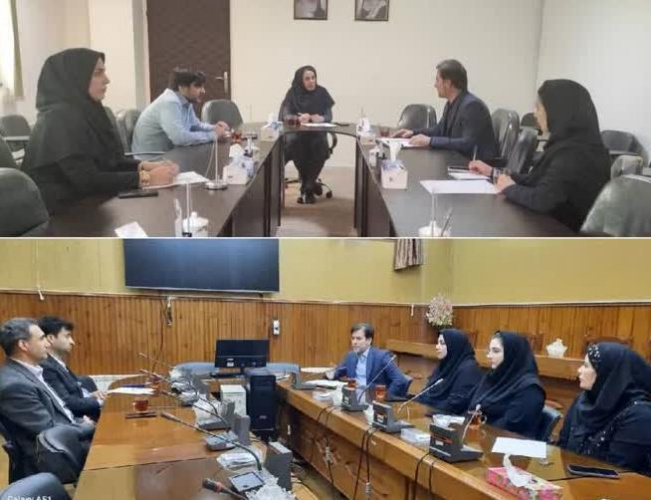 برگزاری جلسات هماهنگی کارگاه‌های ارتقای سلامت روانی دانشجویان در دانشکده‌ها