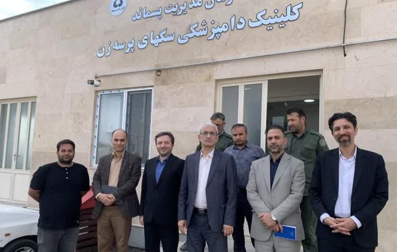 بازدید معاون بهداشت دانشگاه از مراکز نگهداری سگ‌های بلاصاحب در اردبیل