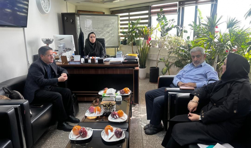 نشست تخصصی تأمین نیروی انسانی دانشگاه علوم پزشکی اردبیل در وزارت بهداشت