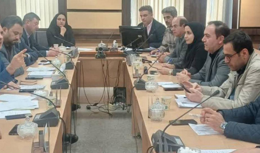 برگزاری جلسه کارگروه واگذاری خدمات سلامت دانشگاه علوم پزشکی اردبیل