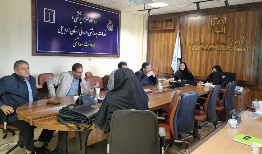 برگزاری کارگروه تخصصی سلامت و بیمه سالمندان در معاونت بهداشت دانشگاه