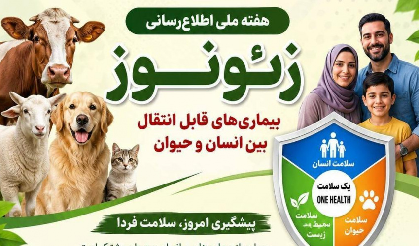 هشدار معاون بهداشت دانشگاه علوم پزشکی اردبیل به مناسبت هفته جهانی زئونوز: «سلامت واحد» راه مقابله با بیماری‌های مشترک انسان و دام است